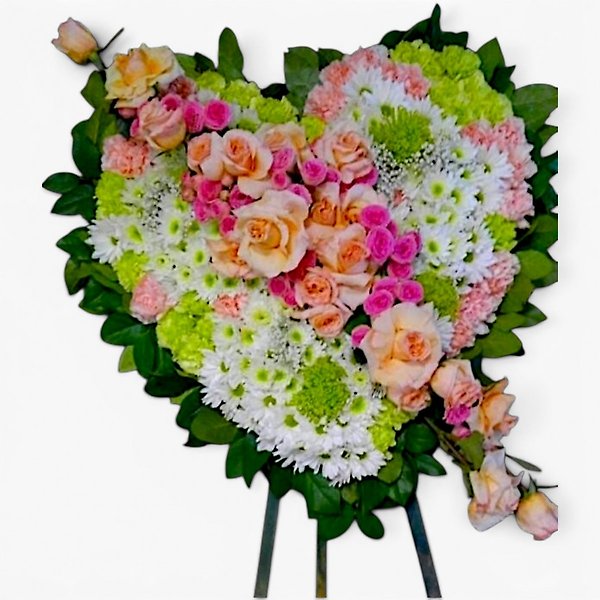 Pastel and white Assortment Solid Heart