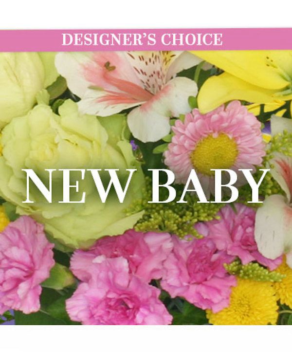 New Baby Designers choice