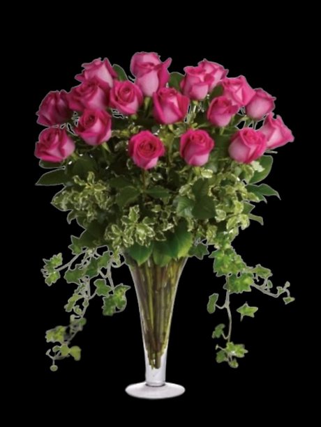 Dreaming in Pink - 18 Long Stemmed Pink Roses