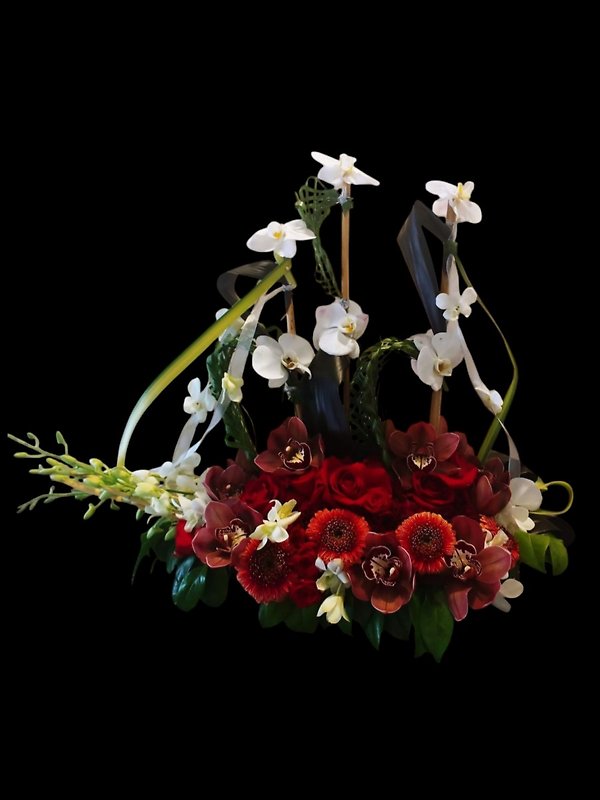 Orchid Noir Boat