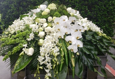 White Orchids and succulents casket spray