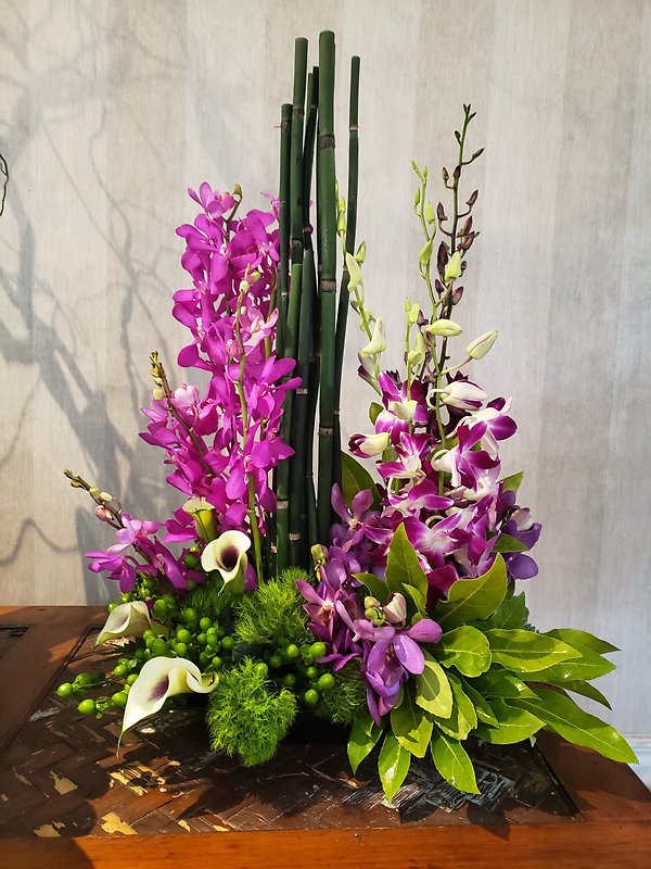 Zen Orchid Garden