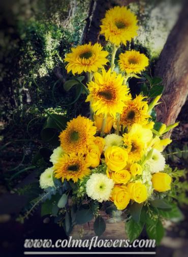 Sunflower garden