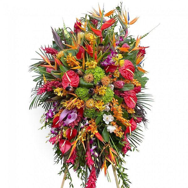 Exotic Tropical Assortment spray