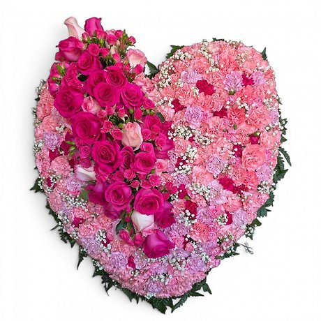 Sweet Love Bleeding Heart