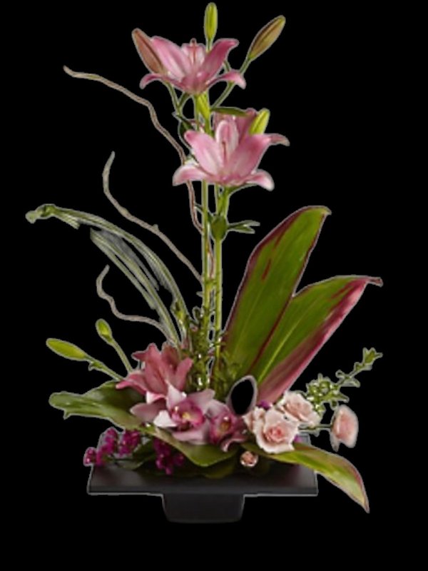 Imagination Blooms with Cymbidium Orchids
