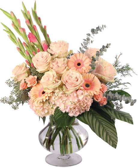 Gladly Pastel and Pink
