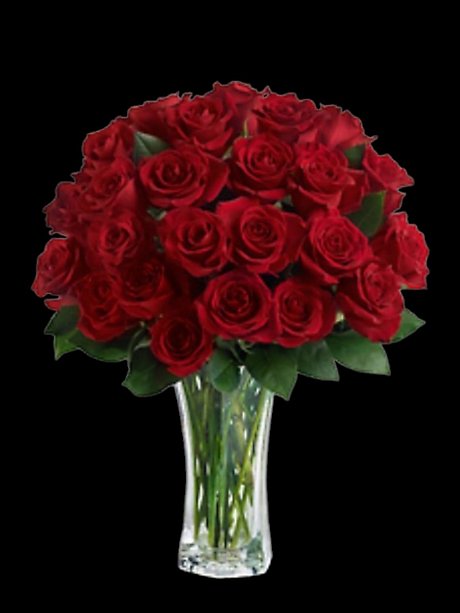 Love and Devotion - Long Stemmed Red Roses