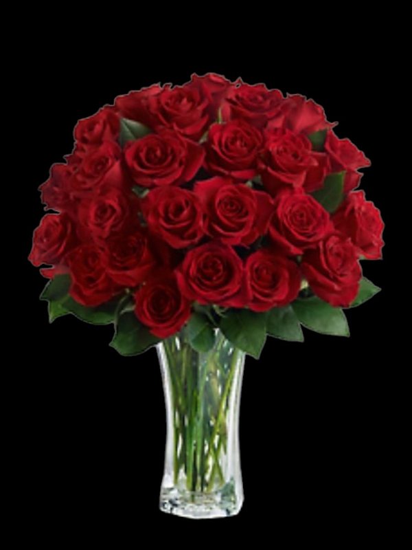 Love and Devotion - Long Stemmed Red Roses