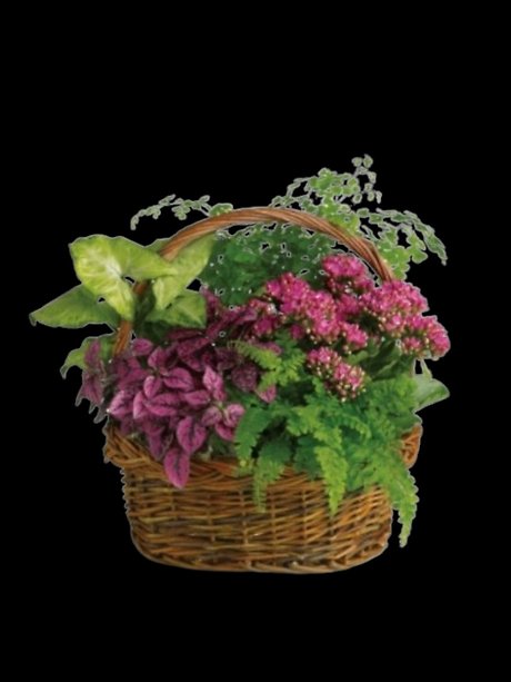 Secret Garden Basket