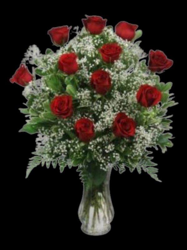 12 Red Roses