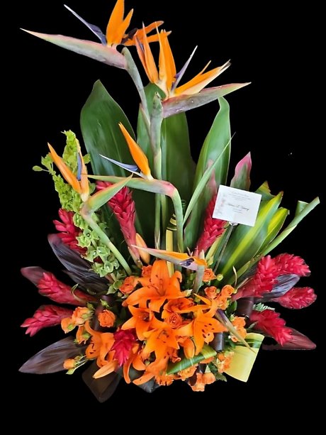 Tropical grace