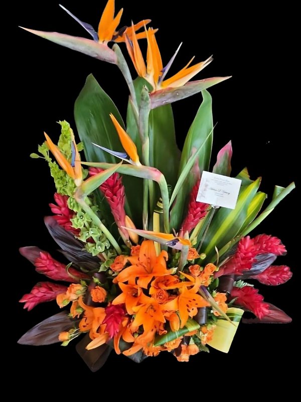 Tropical grace