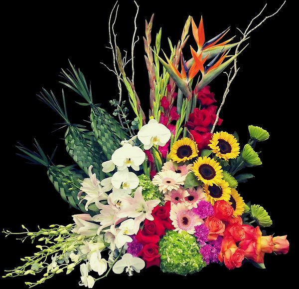 Tropical Elegance Symphony