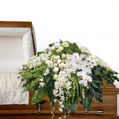 White Orchids and succulents casket spray