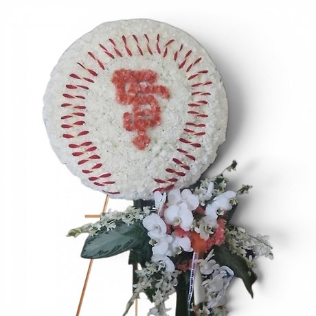 Custom Sports Baseball spray