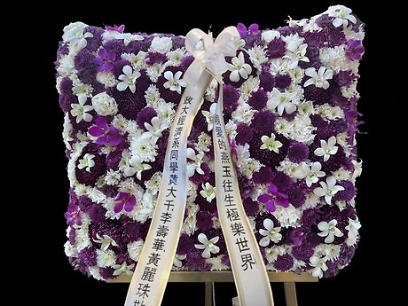 Purple and white assortment pillow