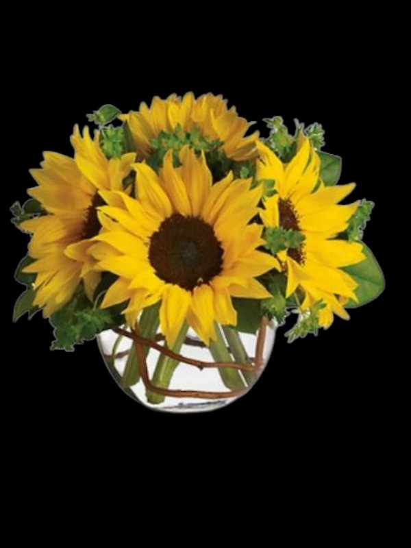Sunny Sunflowers