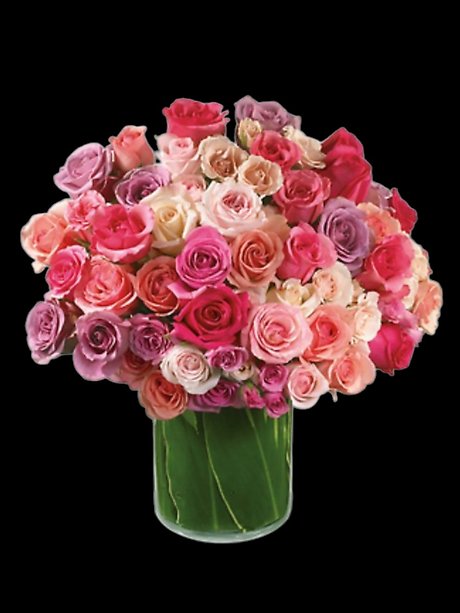 Rose Rapture
