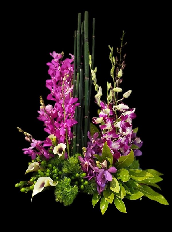 Tranquil Orchid Zen