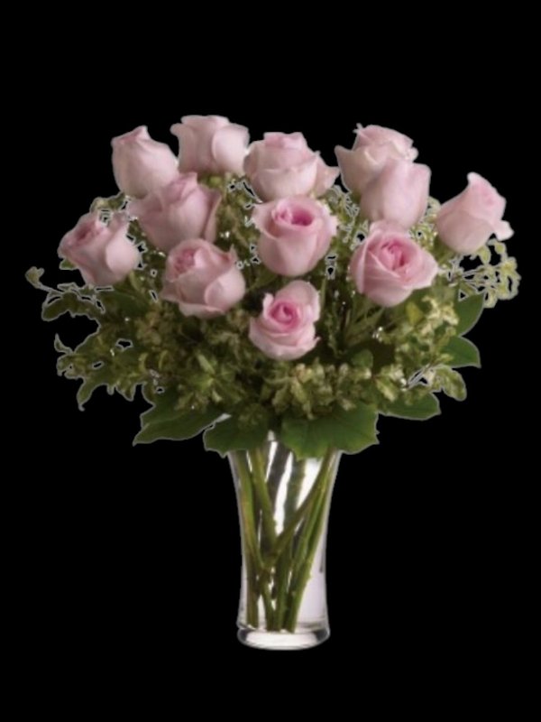 A Dozen Pink Roses