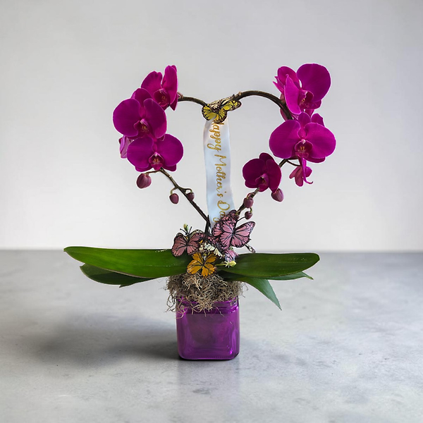 Orchid Heart