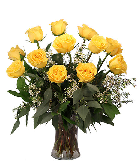 Dozen yellow roses