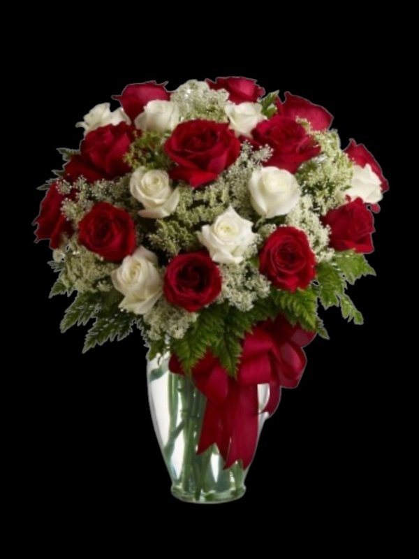 Love\'s Divine Bouquet - Long Stemmed Roses