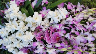 Gardenia and Orchid casket Spray