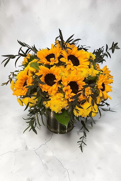 Sol Blooms