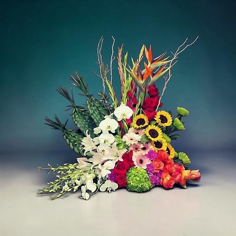 Tropical Elegance Symphony
