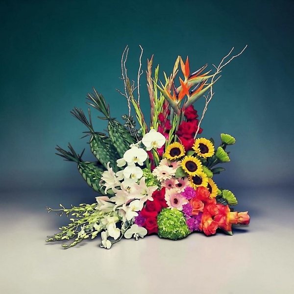 Tropical Elegance Symphony