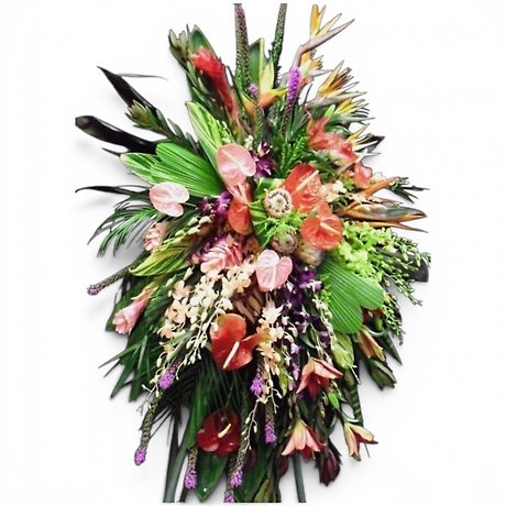 Exotic Tropical Assortment spray
