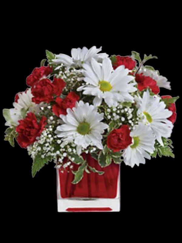 Red And White Delight