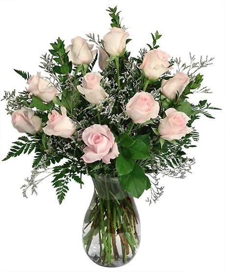 Soft pink dozen arrangement
