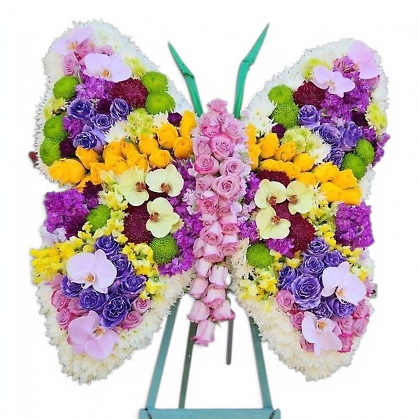 Butterfly tribute