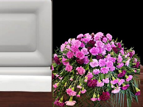Assorted carnation Casket Spray