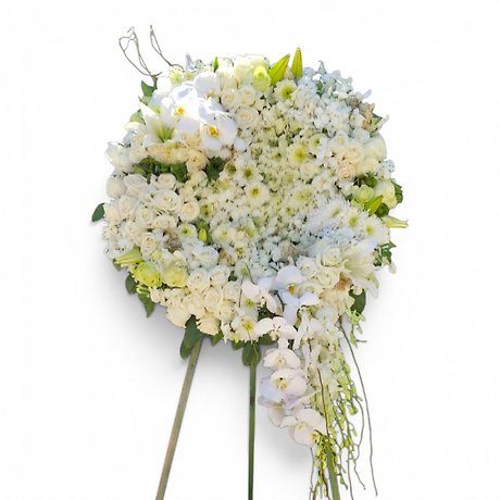 Pure Elegance Solid Wreath
