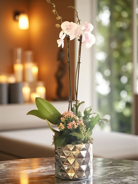 Orchid dish garden standard