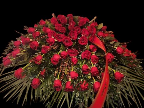 Red Rose Casket Spray