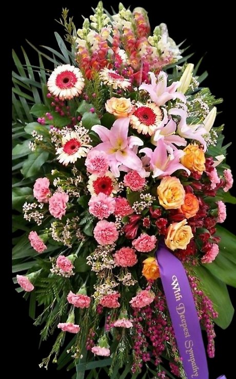 Vivid Assortment Spray