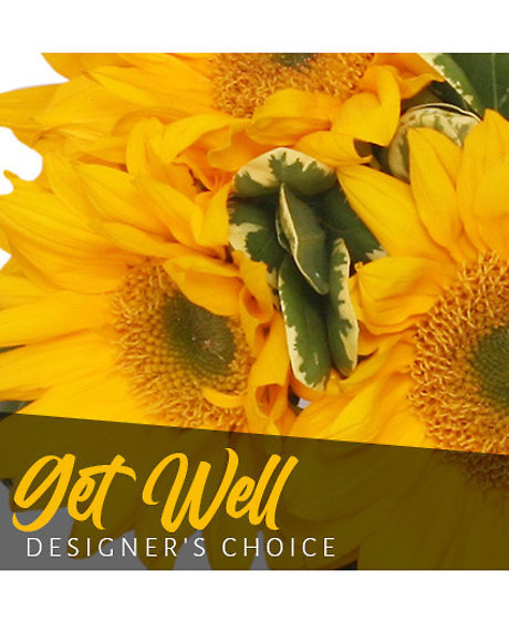 Get well designers choice