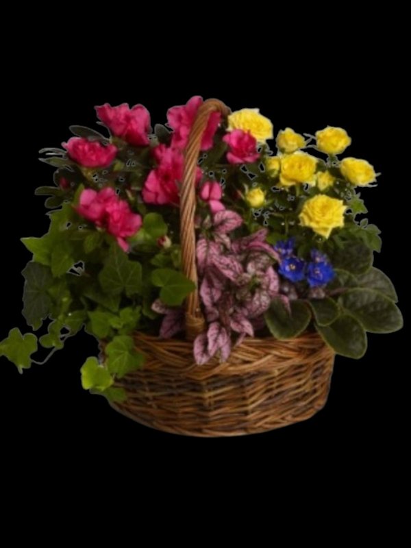 Blooming Garden Basket