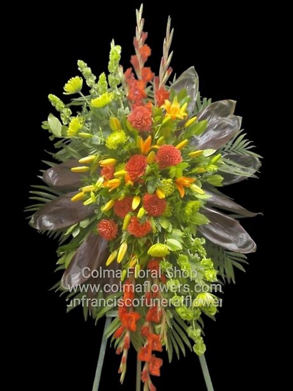 Francisco P. Palma Obituary & Suggested Flowers