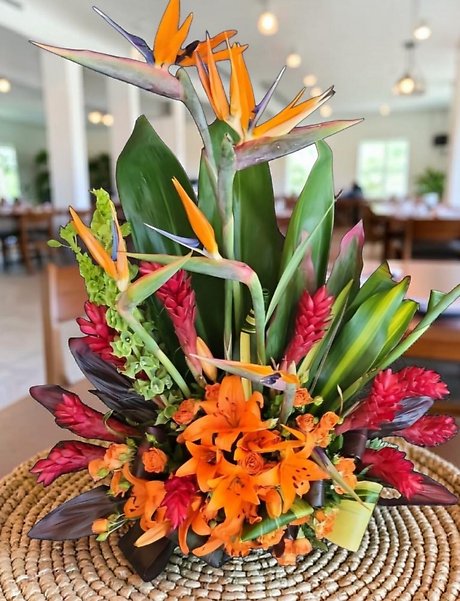 Tropical grace