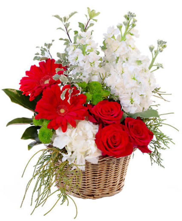 Crimson and ivory basket