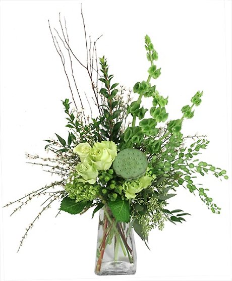 An Entrancing Marvel Arrangement