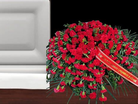 Red carnation casket spray