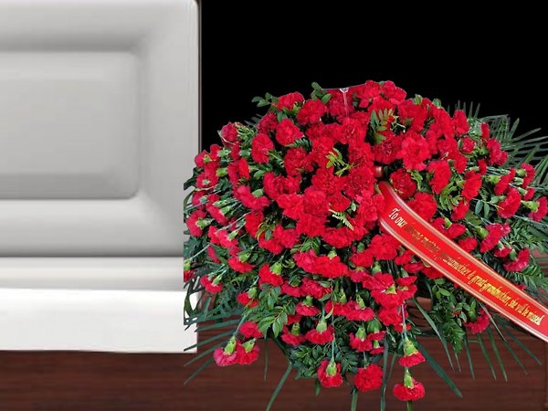 Red carnation casket spray