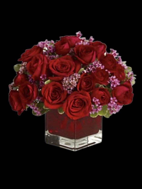 Never Let Go - 18 Red Roses